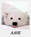 L'AAVE sauve les ours polaires