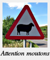 Attention moutons