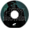 Avicii - Hey brother (2013)