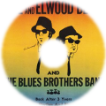 Blues Brothers - Stand by your man (1980)